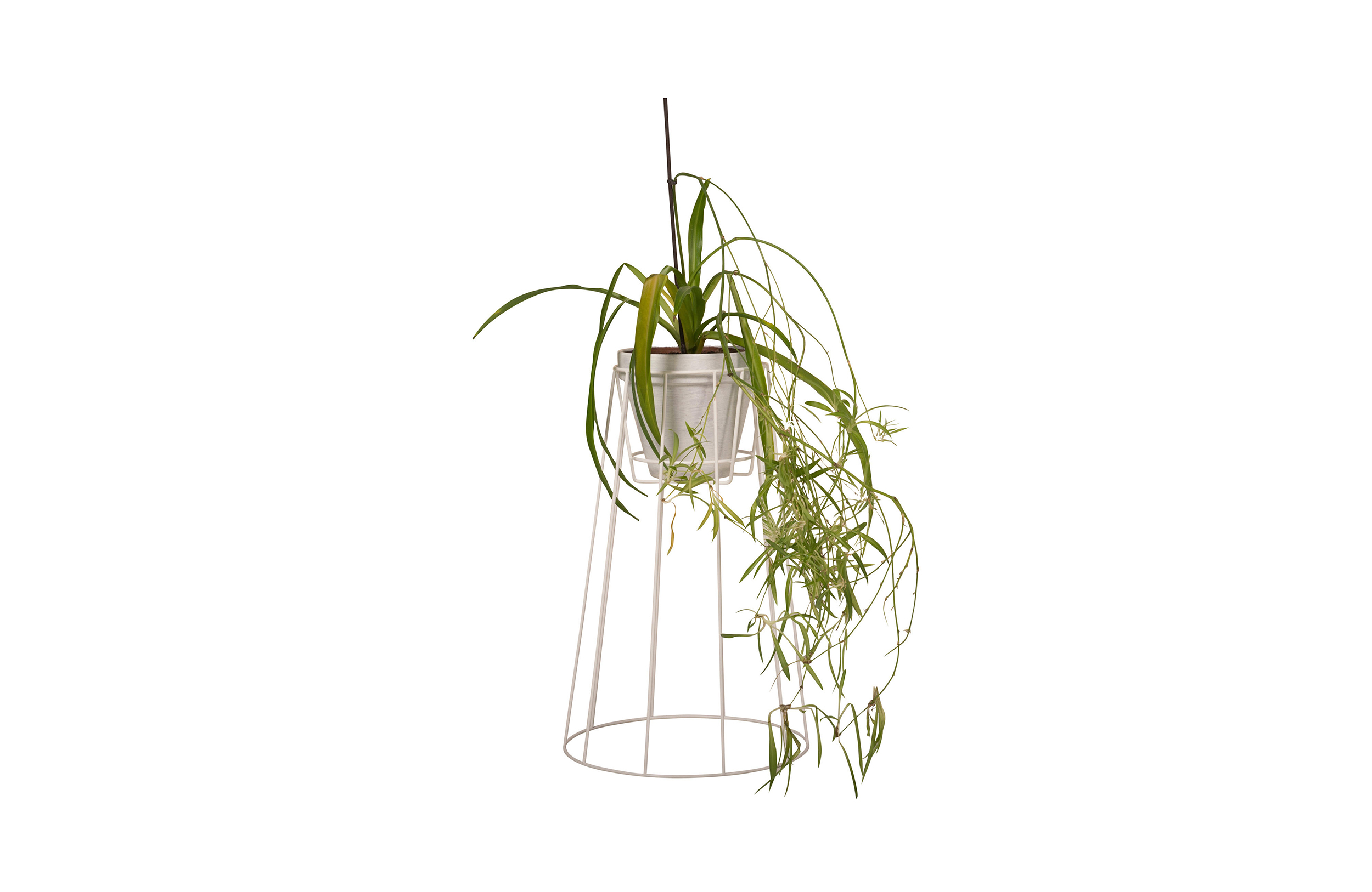 华体app网页版 - 附件|花器|办公家具|华体（中国）家具|西布莉植物架