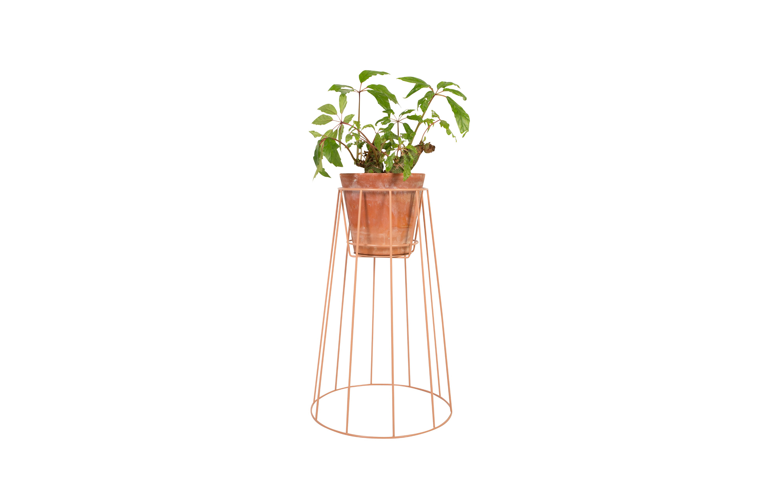 华体app网页版 - 附件|花器|办公家具|华体（中国）家具|西布莉植物架