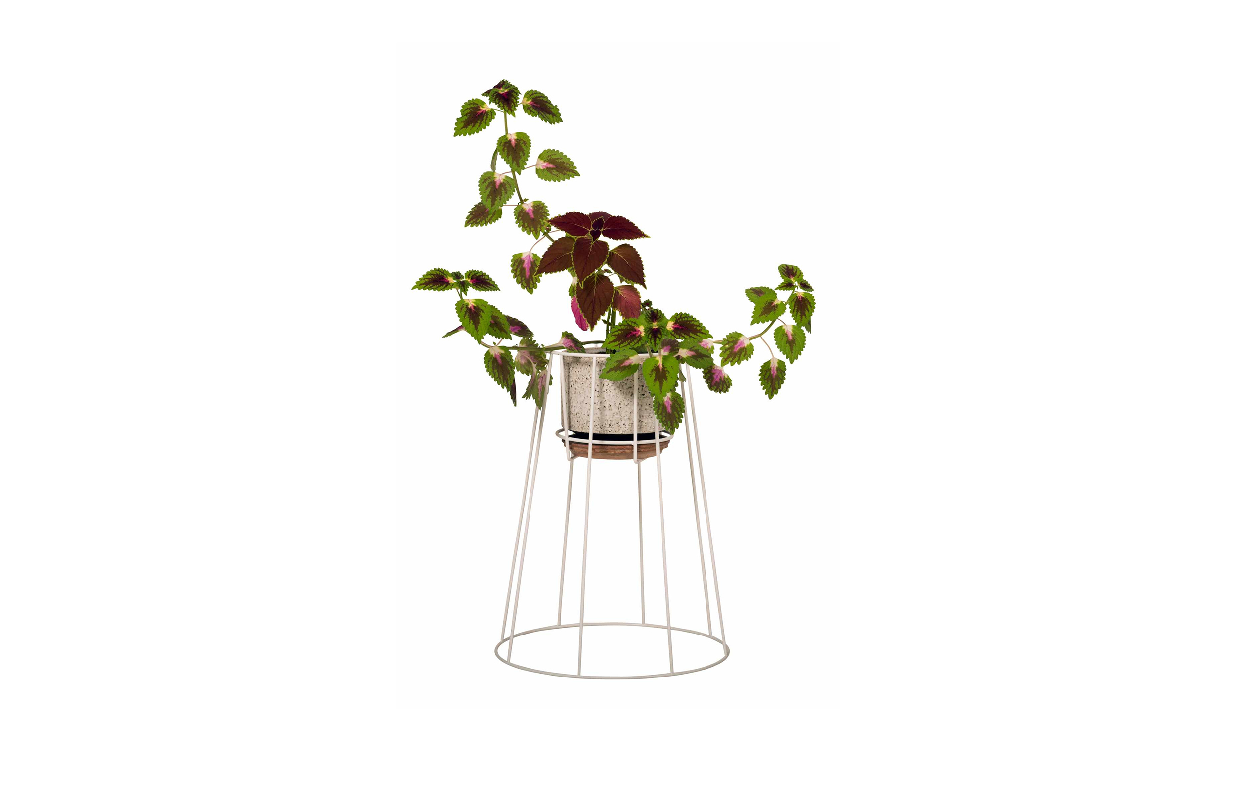 华体app网页版 - 附件|花器|办公家具|华体（中国）家具|西布莉植物架