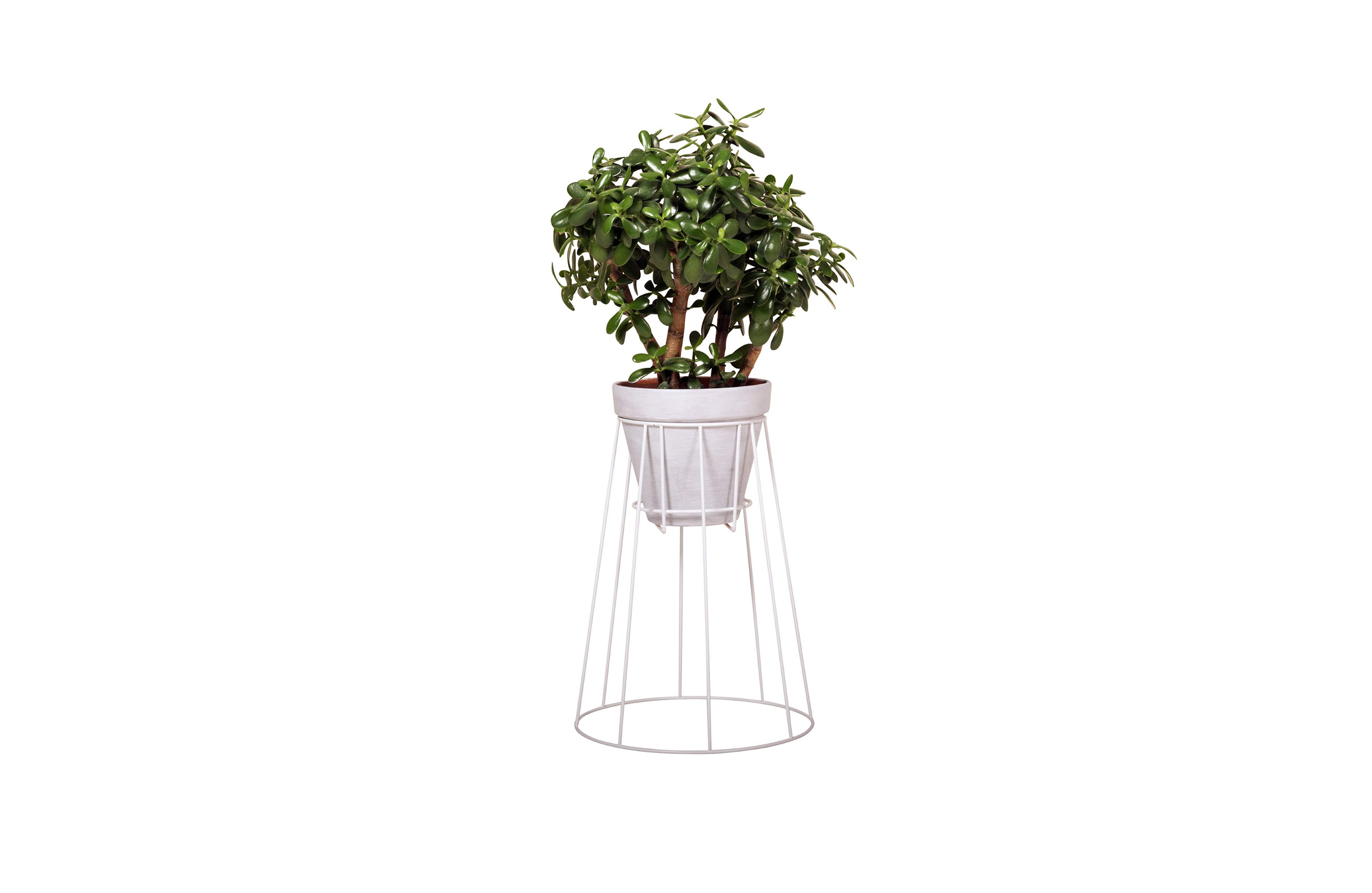 华体app网页版 - 附件|花器|办公家具|华体（中国）家具|西布莉植物架