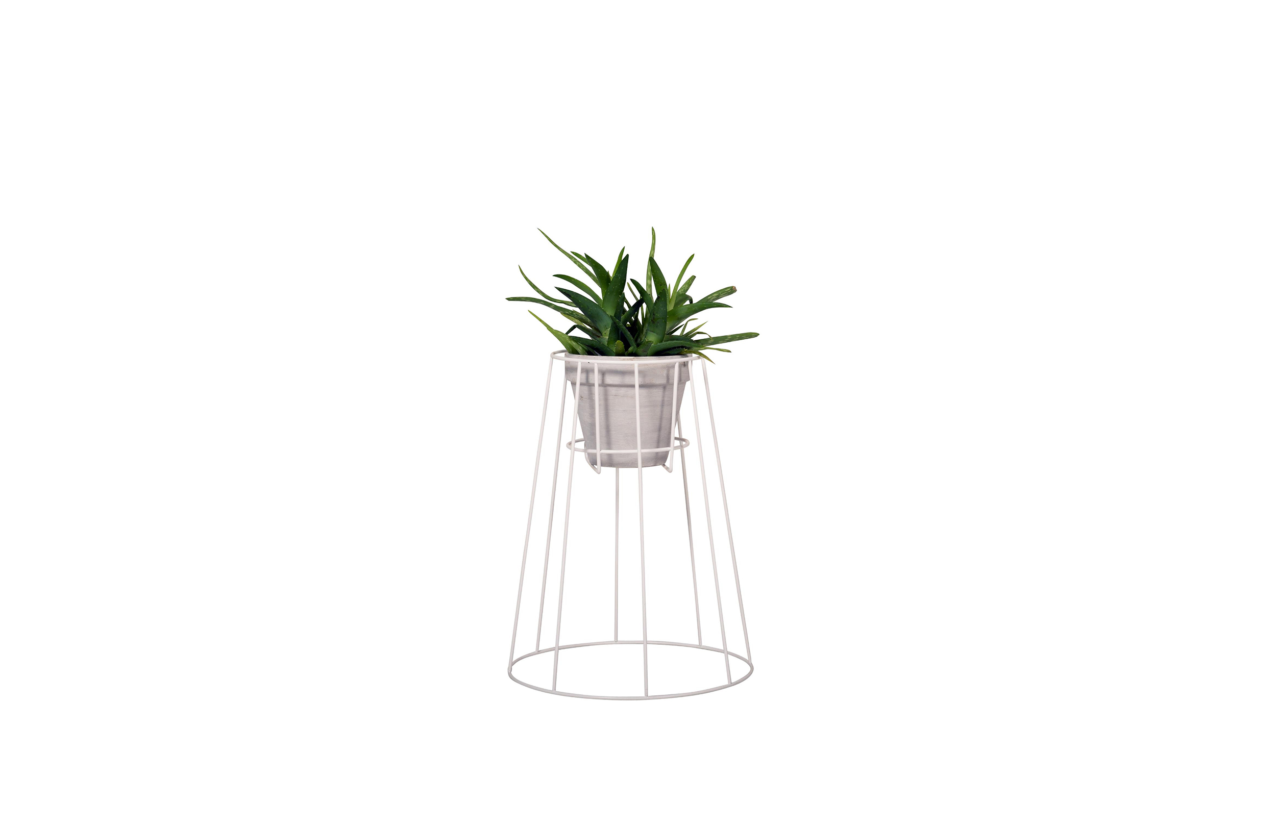 华体app网页版 - 附件|花器|办公家具|华体（中国）家具|西布莉植物架