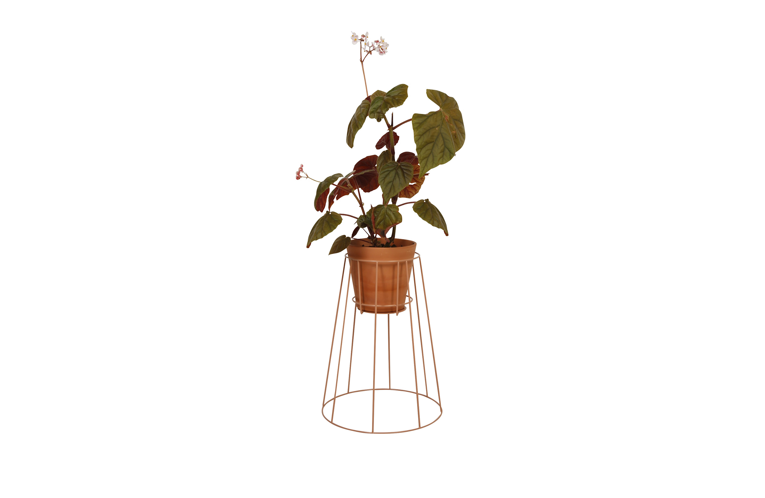 华体app网页版 - 附件|花器|办公家具|华体（中国）家具|西布莉植物架