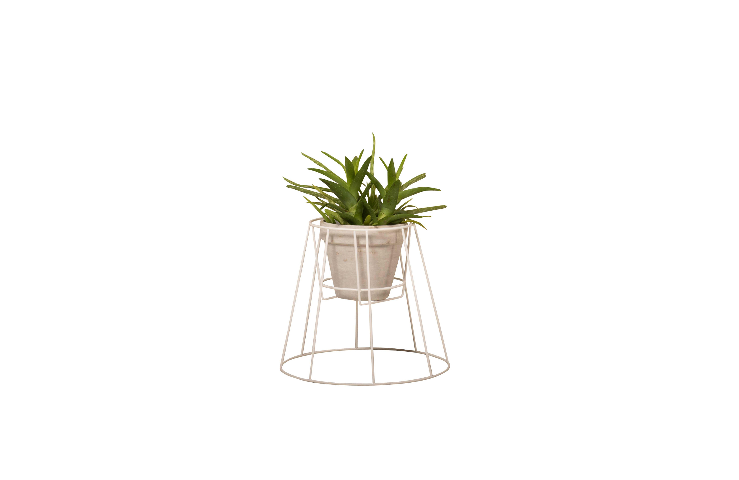 华体app网页版 - 附件|花器|办公家具|华体（中国）家具|西布莉植物架