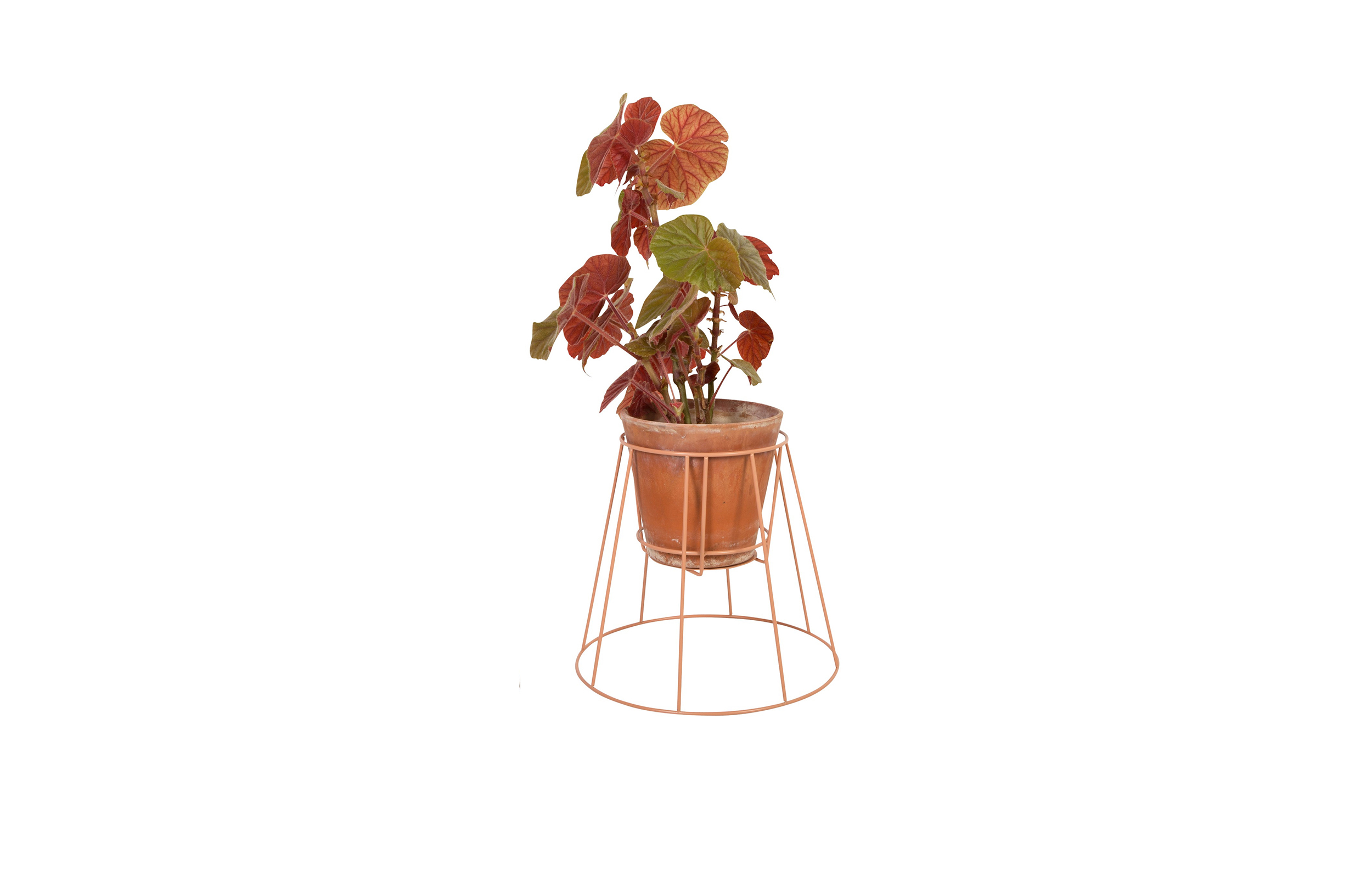 华体app网页版 - 附件|花器|办公家具|华体（中国）家具|西布莉植物架