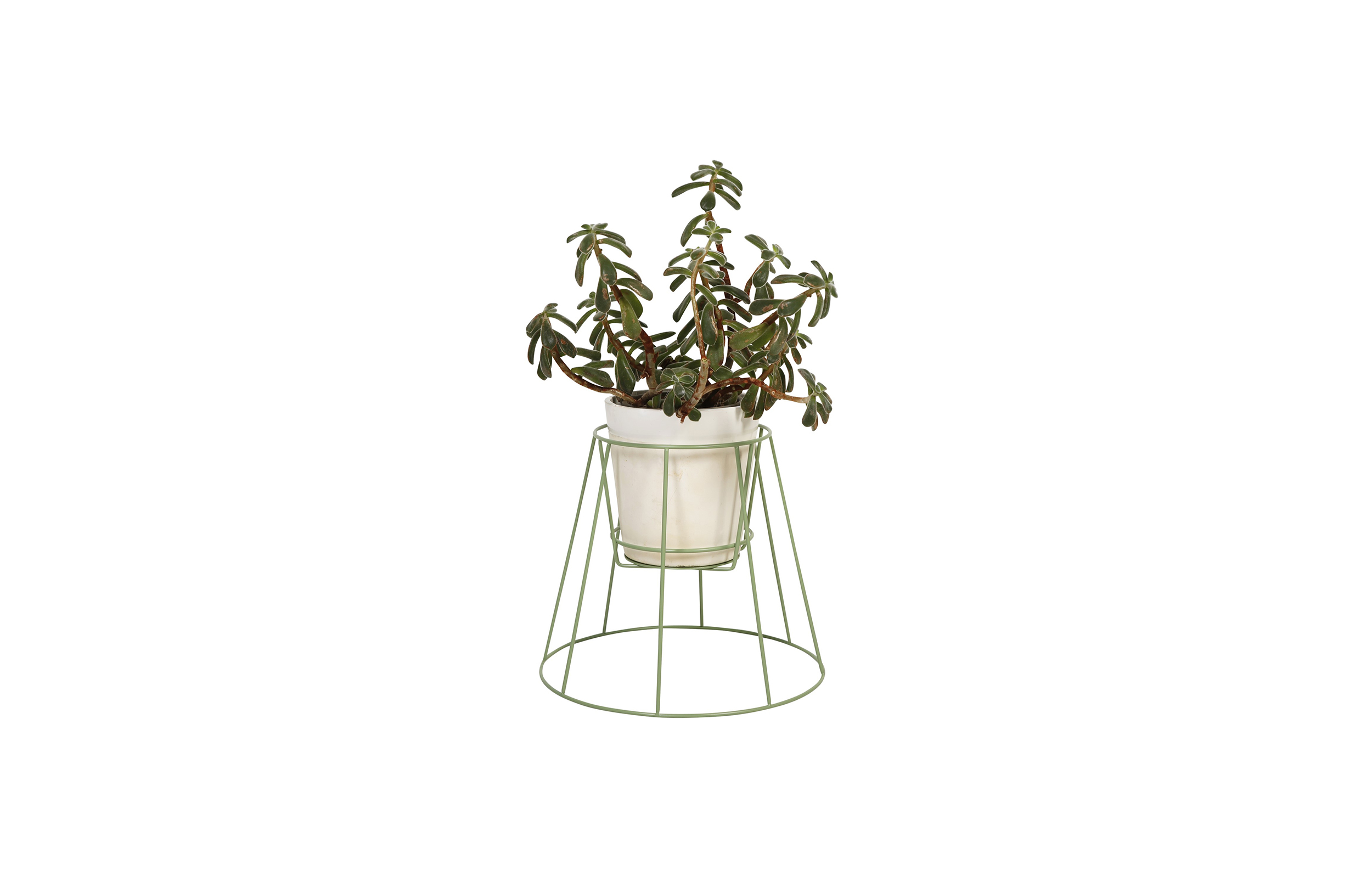 华体app网页版 - 附件|花器|办公家具|华体（中国）家具|西布莉植物架