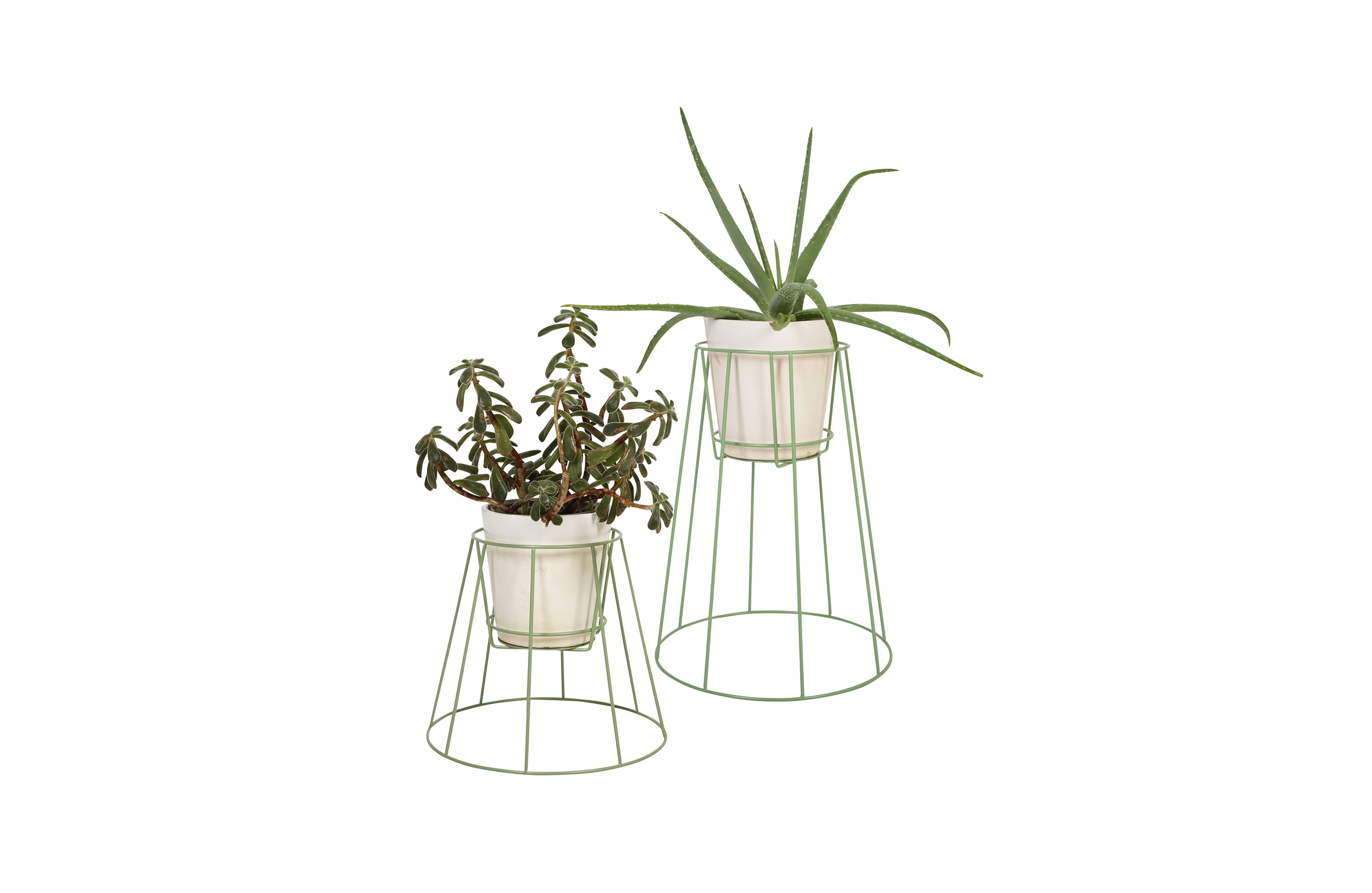 华体app网页版 - 附件|花器|办公家具|华体（中国）家具|西布莉植物架
