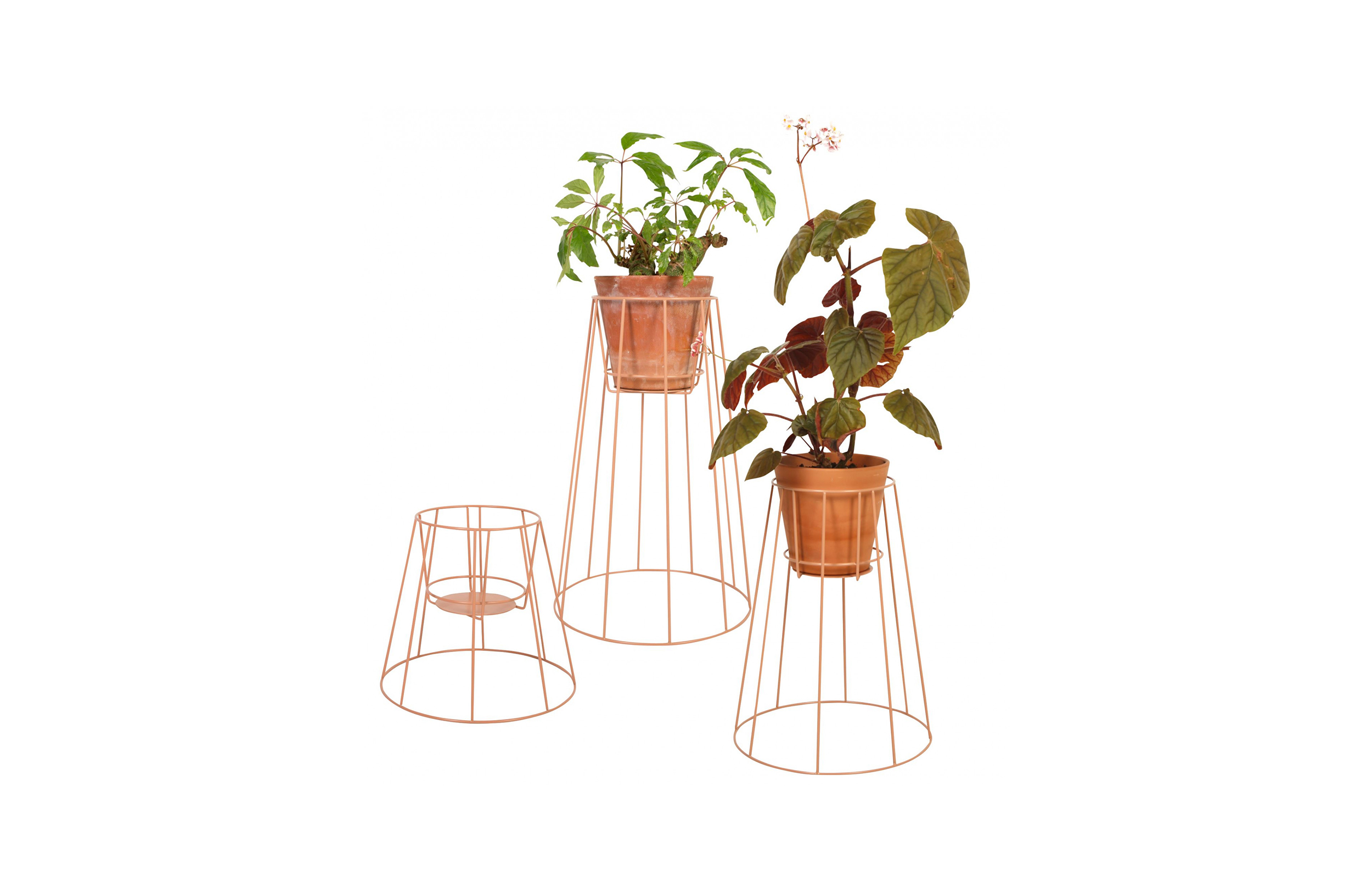 华体app网页版 - 附件|花器|办公家具|华体（中国）家具|西布莉植物架