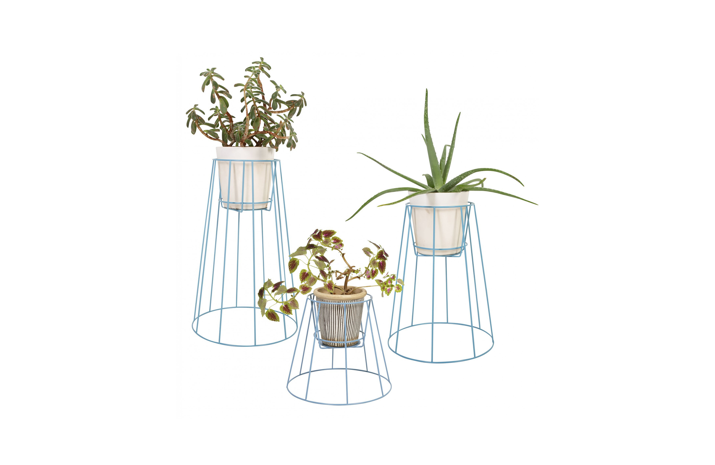华体app网页版 - 附件|花器|办公家具|华体（中国）家具|西布莉植物架