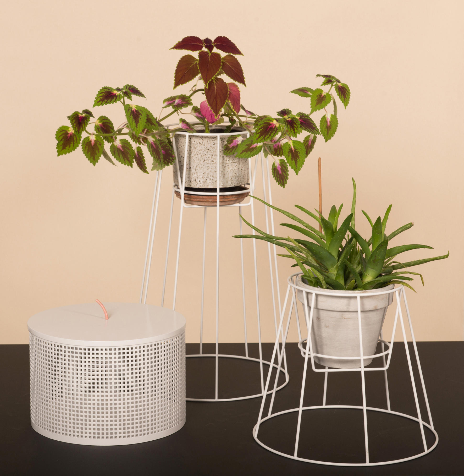 华体app网页版 - 附件|花器|办公家具|华体（中国）家具|西布莉植物架