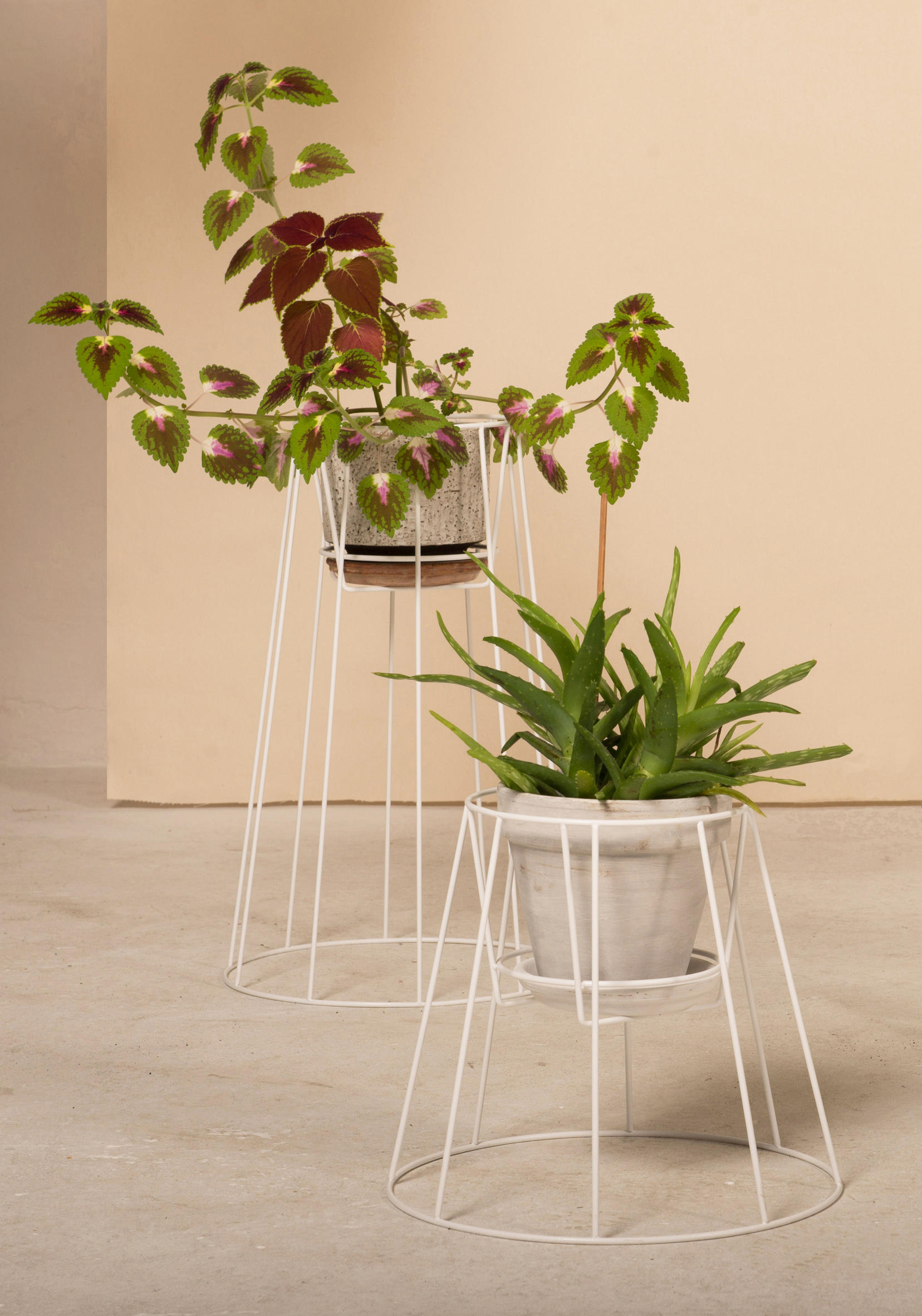 华体app网页版 - 附件|花器|办公家具|华体（中国）家具|西布莉植物架