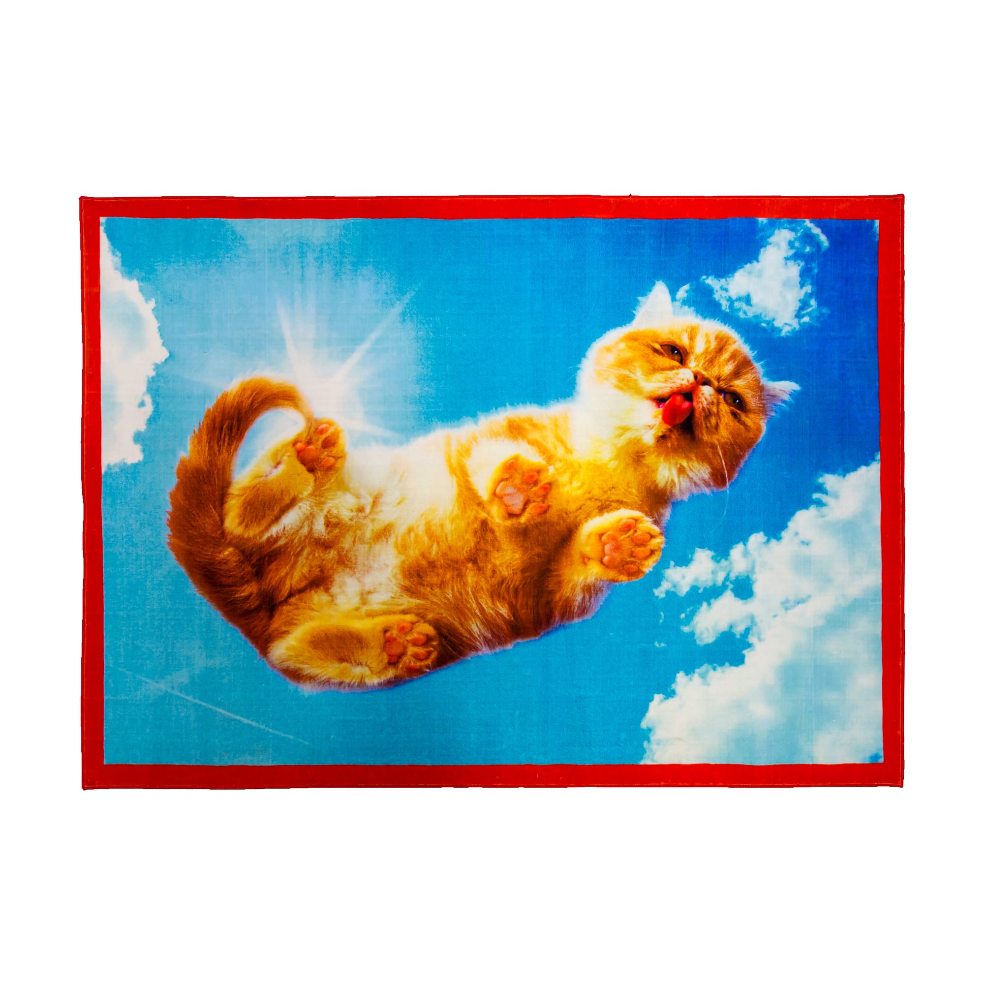 [华体app网页版 - 附件|地毯|办公家具|华体（中国）家具|square cat]