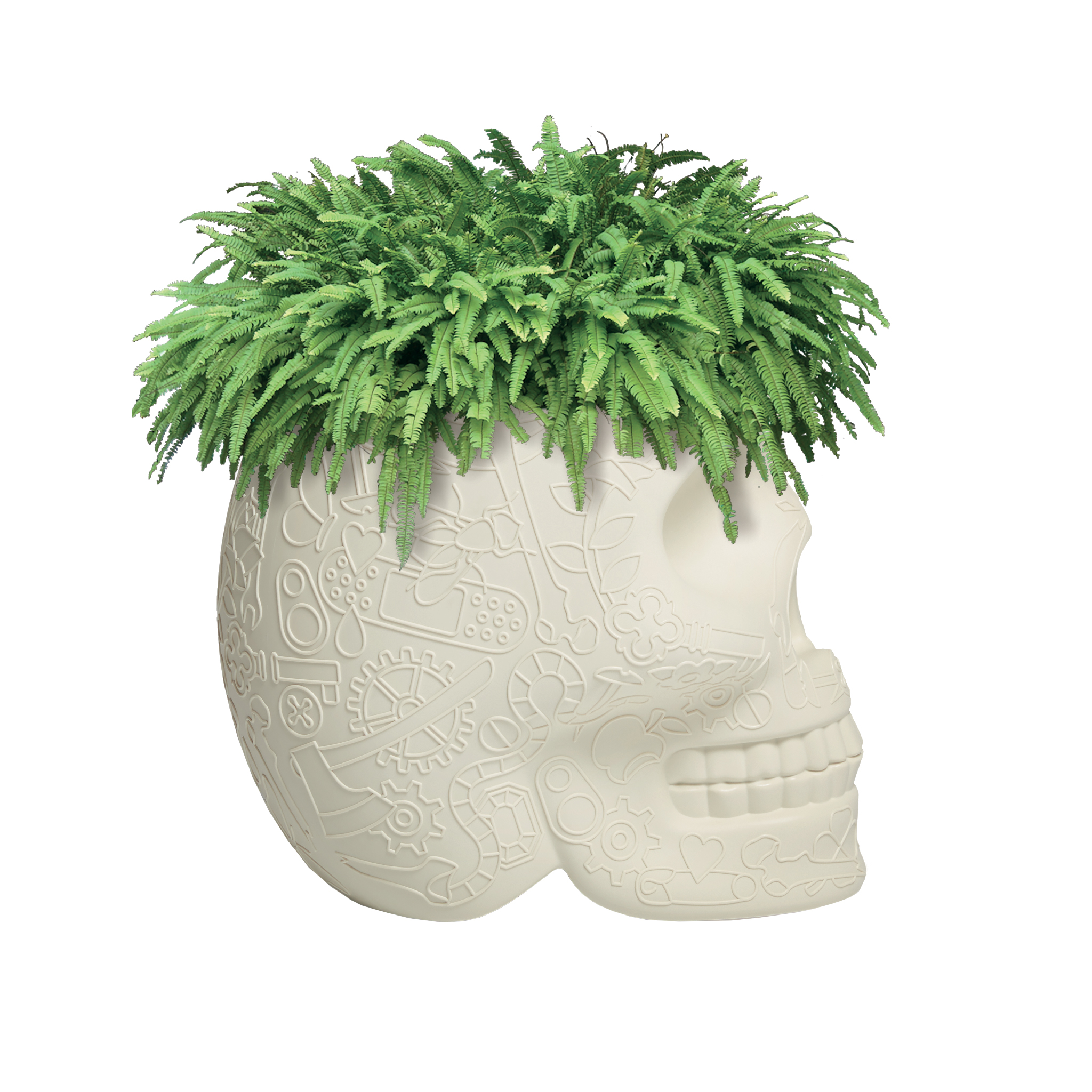 华体app网页版 - 附件|花器|办公家具|华体（中国）家具|墨西哥花盆