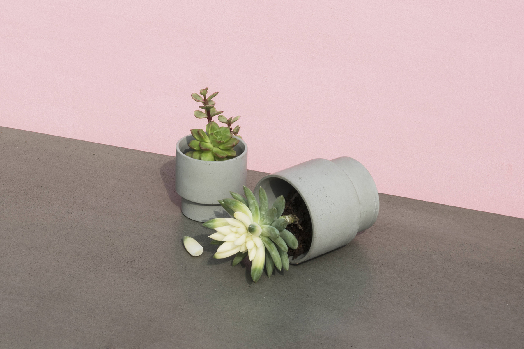 华体app网页版 - 附件|花器|办公家具|华体（中国）家具|花钵/蜡烛台-息