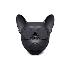 AeroBull Nano音箱 CG-K1050-2